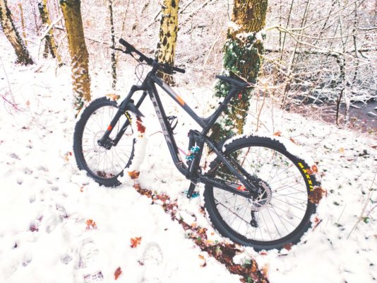 Zeigt Trek Fuel EX 5 Mountainbike im Schnee an einen Baum angelehnt.